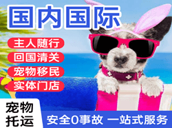 周水子空运代理国际宠物托运 【国